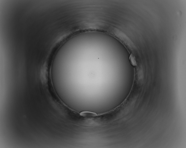 X0000092090680200710031155