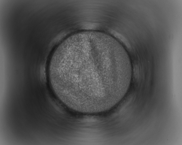 X0000092090682200710031154