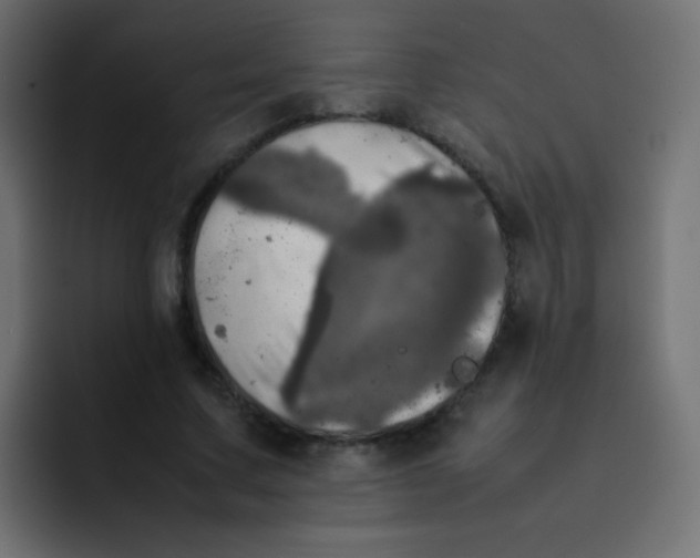 X0000092090683200710031154