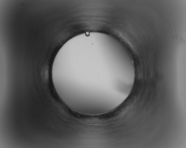 X0000092090685200710031154