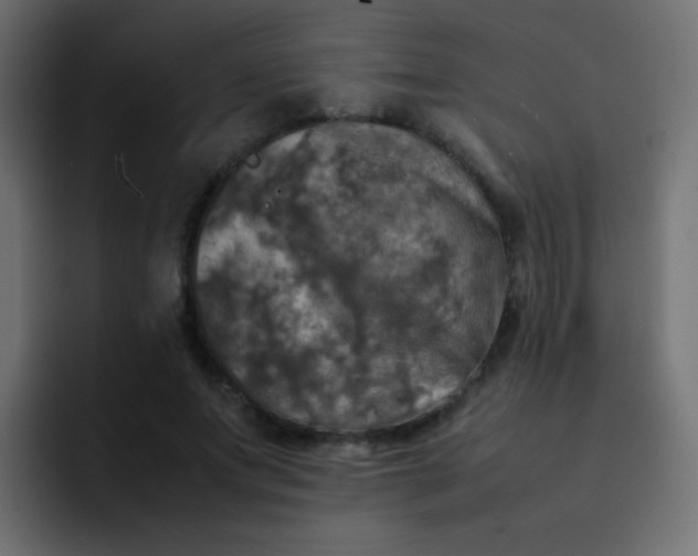 X0000092090687200710031154