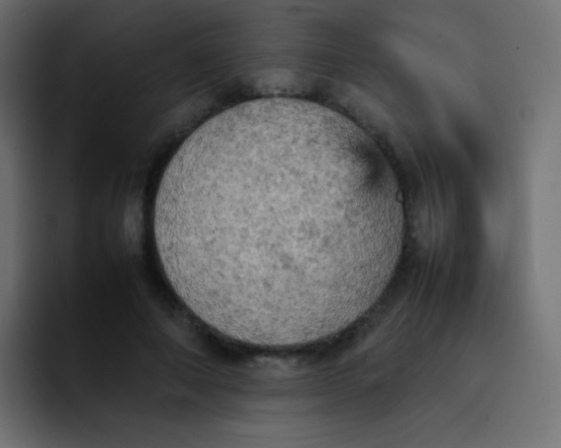 X0000092090690200710031154