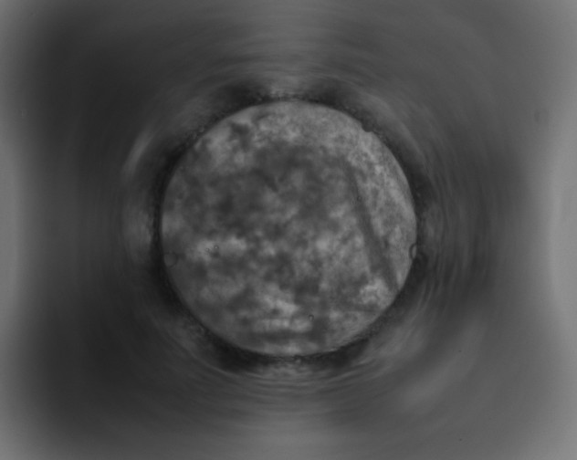 X0000092090691200710031154