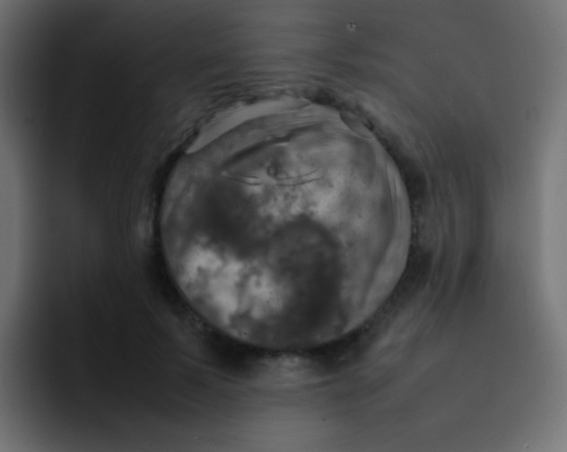 X0000092090695200710031154