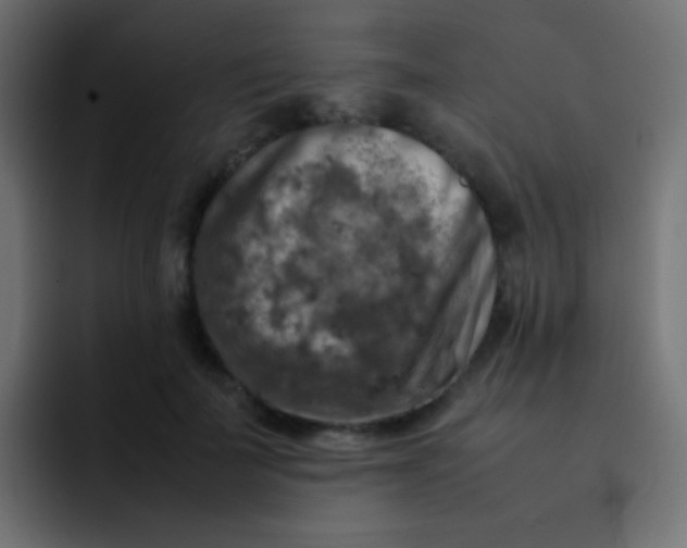 X0000092090699200710031154