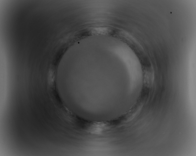 X0000092090701200710031154