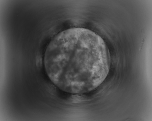 X0000092090703200710031154