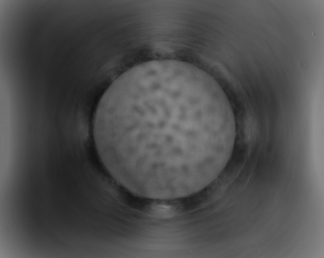 X0000092090706200710031154