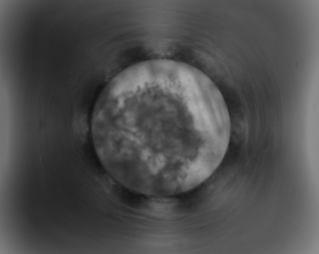 X0000092090707200710031154