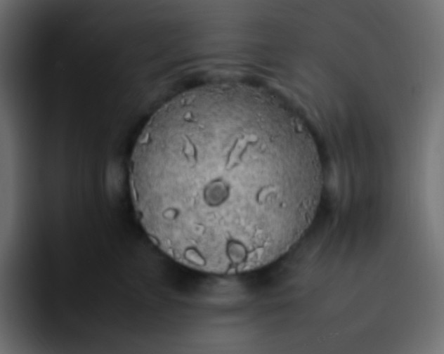 X0000092090715200710031154