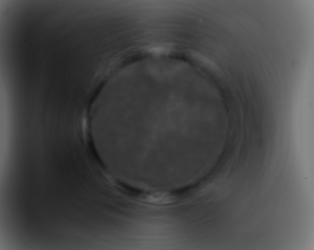 X0000092090720200710031154