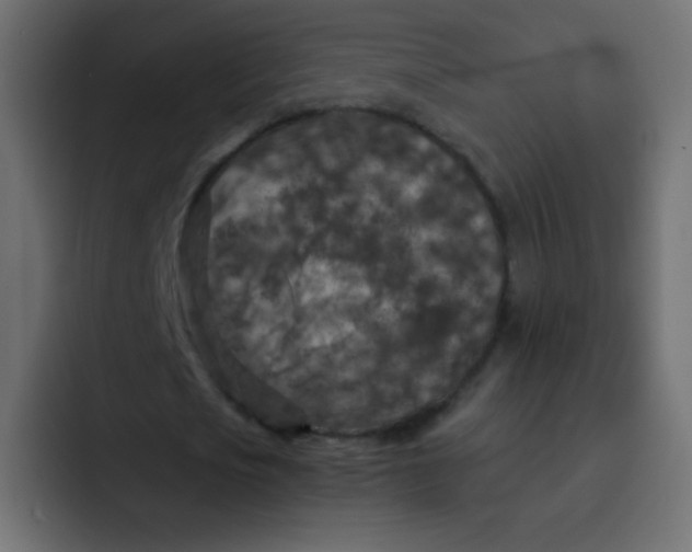 X0000092090721200710031153