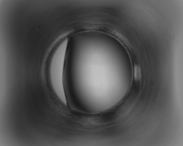 X0000092090723200710031154