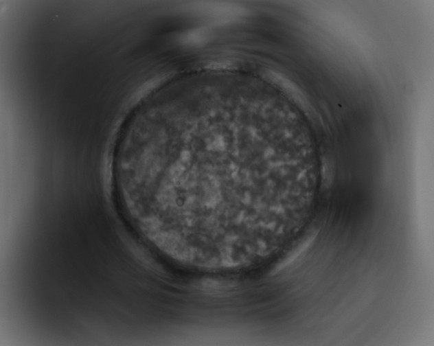 X0000092090725200710031154