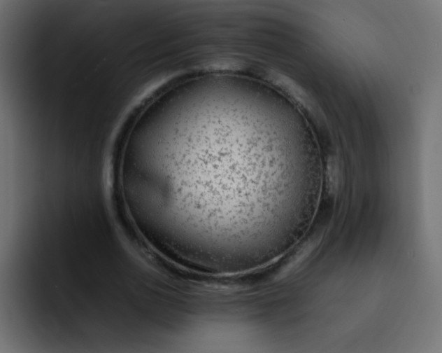 X0000092090726200710031154