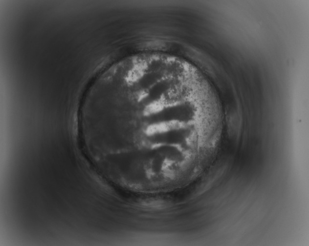 X0000092090729200710031154