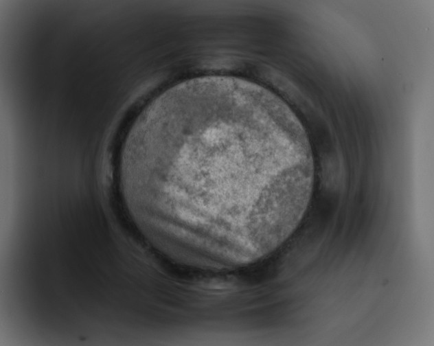 X0000092090731200710031154