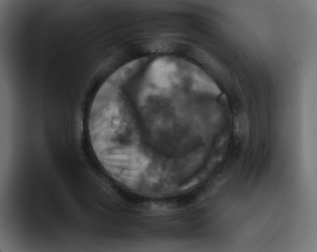 X0000092090733200710031154