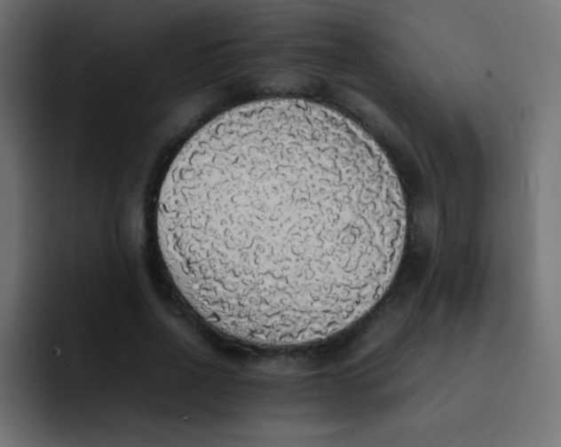 X0000092090734200710031154