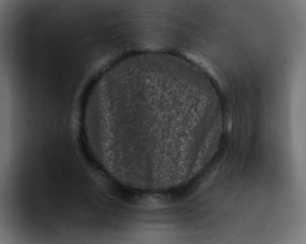 X0000092090736200710031154