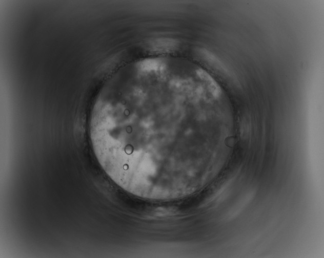 X0000092090737200710031154