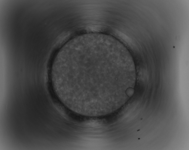 X0000092090738200710031154