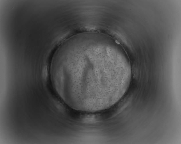 X0000092090740200710031154