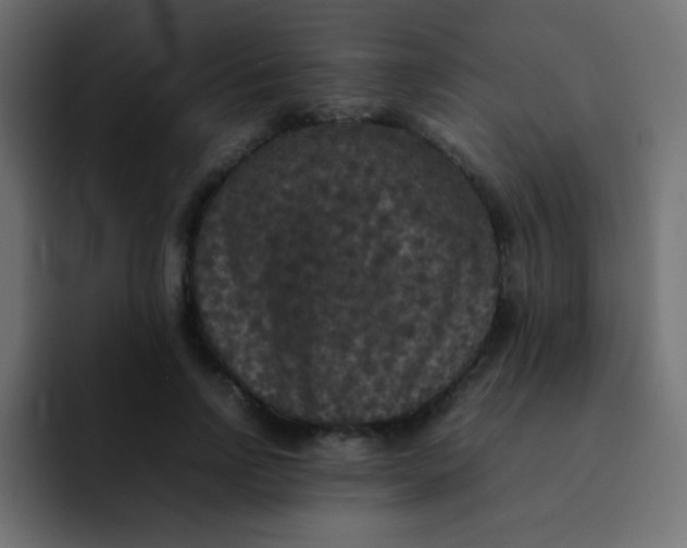 X0000092090742200710031154