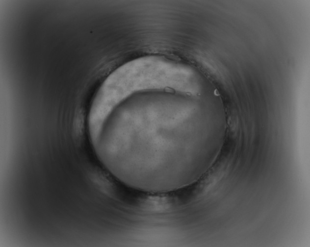 X0000092090744200710031154