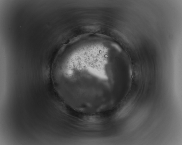 X0000092090745200710031154