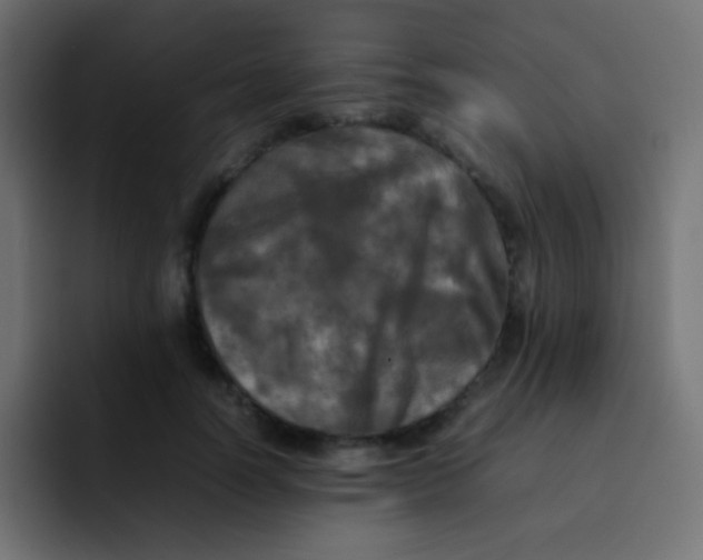 X0000092090746200710031154