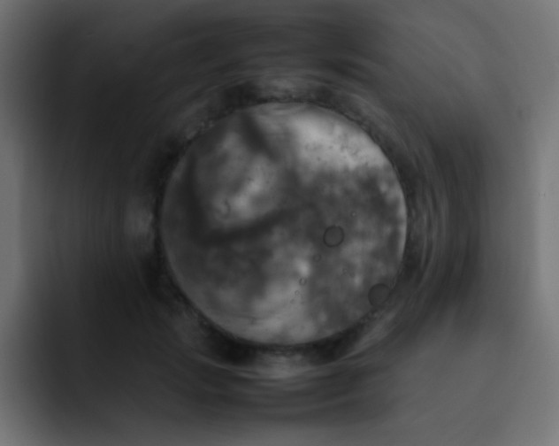 X0000092090749200710031154