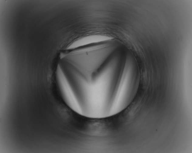 X0000092090750200710031154