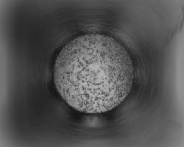 X0000092090751200710031154