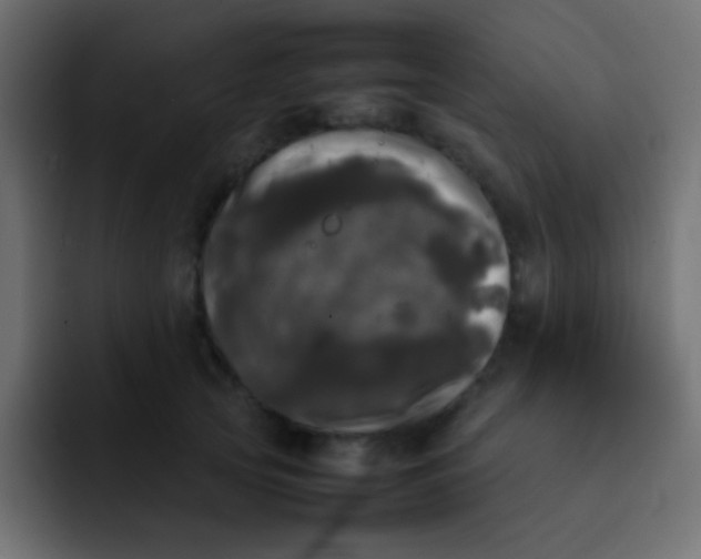 X0000092090753200710031154