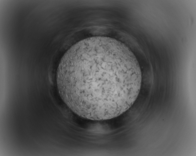 X0000092090755200710031154