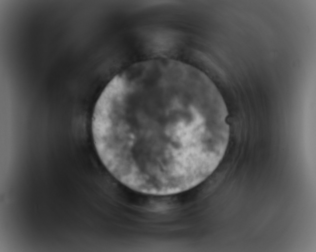 X0000092090757200710031154