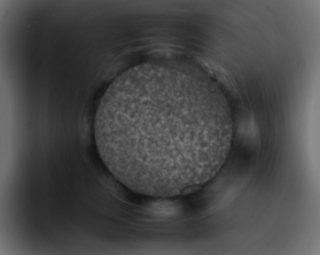 X0000092090759200710031154