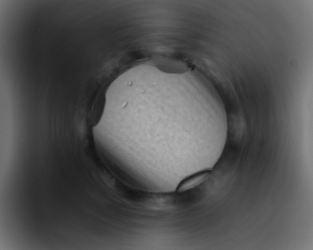 X0000092090760200710031154