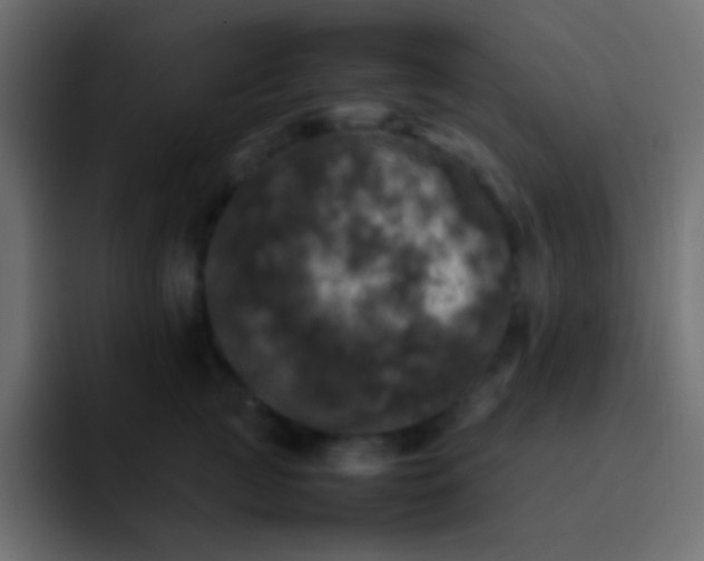 X0000092090761200710031154