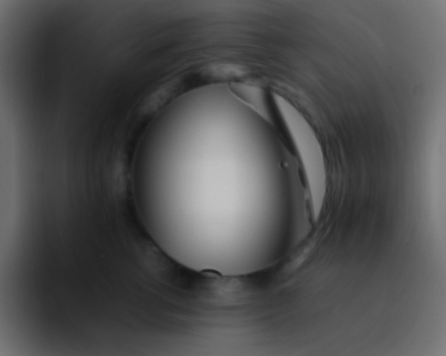 X0000092090762200710031154