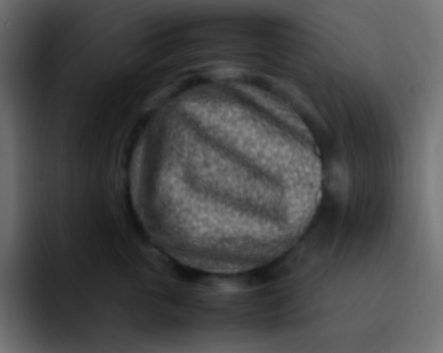 X0000092090763200710031154