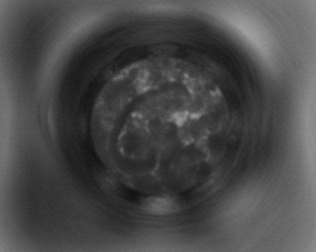 X0000092090765200710031154