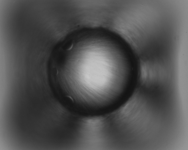 X0000092090770200710031153