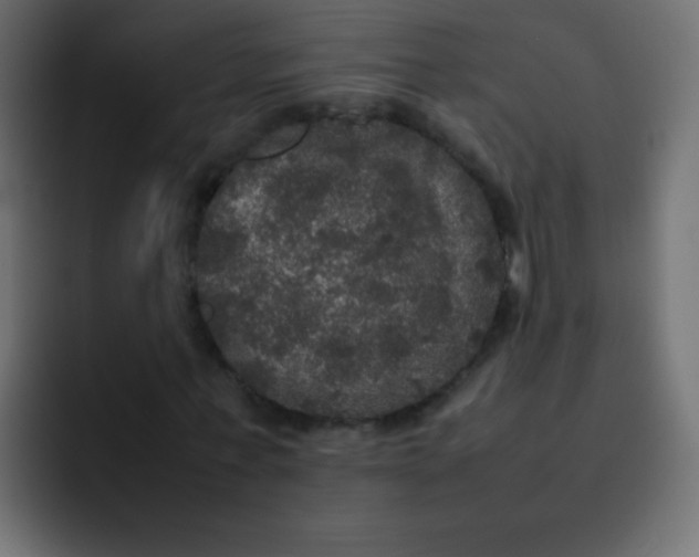 X0000092090771200710031153