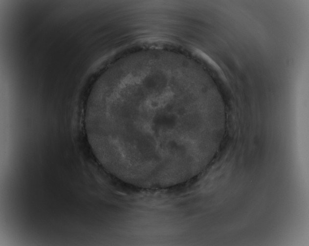 X0000092090775200710031153