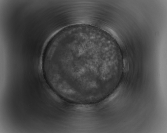 X0000092090780200710031153