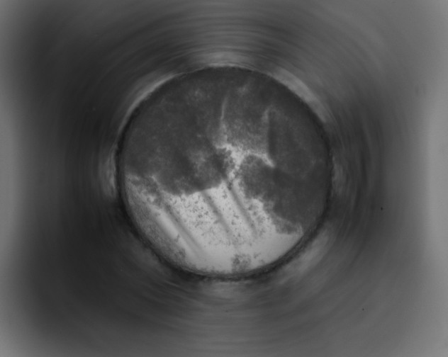 X0000092090782200710031153