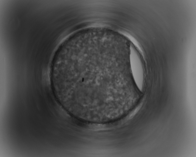 X0000092090783200710031153