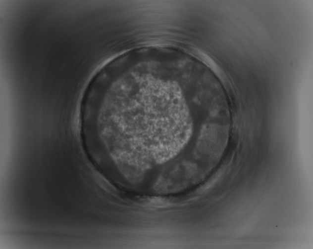 X0000092090787200710031153